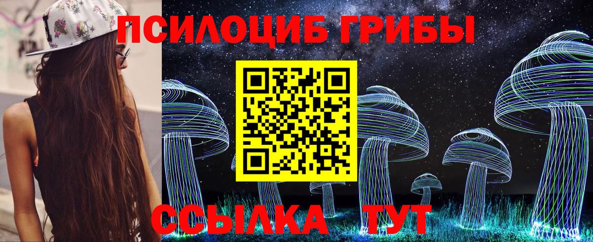 Галлюциногенные грибы MAGIC MUSHROOMS  Вход с VPN  Дербент 